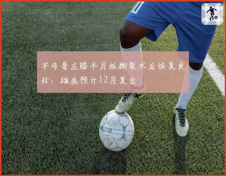字母哥左膝半月板撕裂术后恢复良好，雄鹿预计12月复出