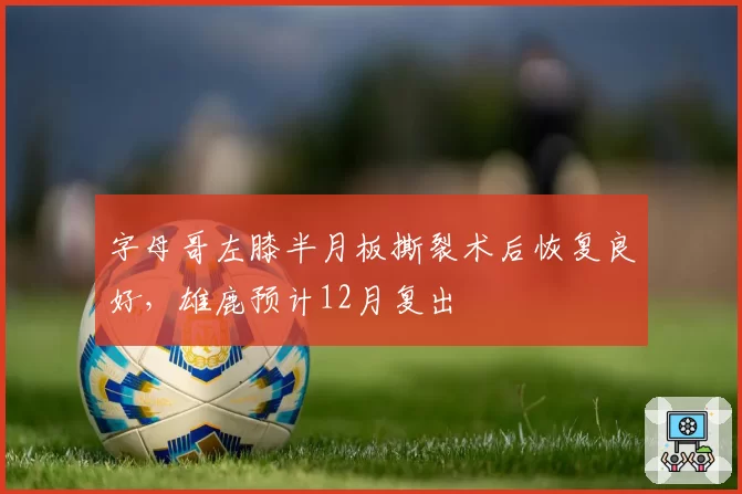 字母哥左膝半月板撕裂术后恢复良好，雄鹿预计12月复出
